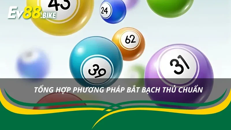 7 Bí kíp săn bạch thủ lô mang lại hiệu quả ấn tượng